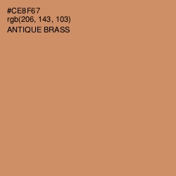 #CE8F67 - Antique Brass Color Image